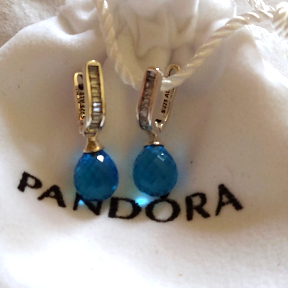 Frosted droplet earrings
